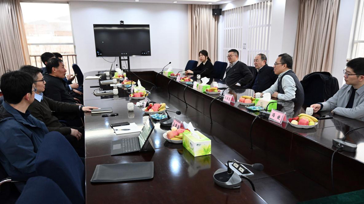 53458686.jpg image009.jpg