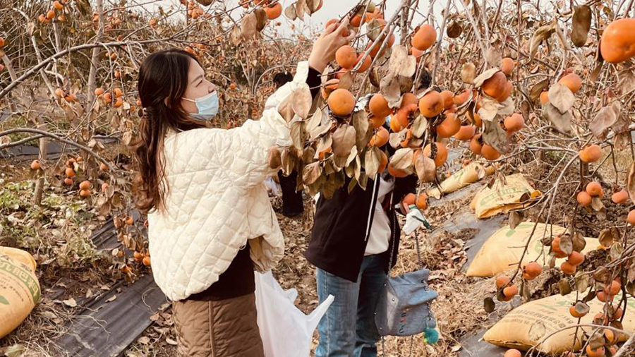 公司工會(huì)組織開展生態(tài)果蔬采摘活動(dòng)